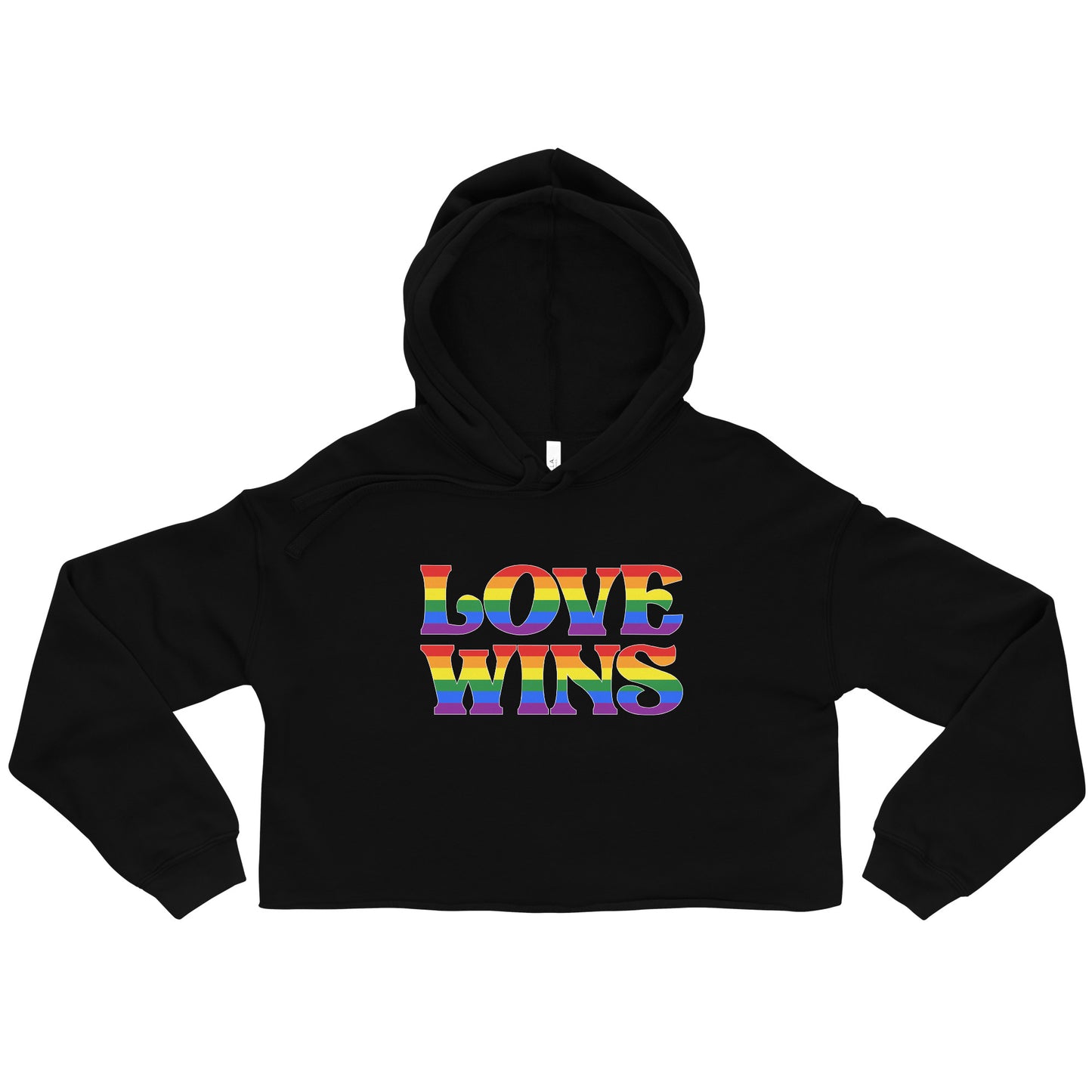 Love Wins Cropped Hoodie